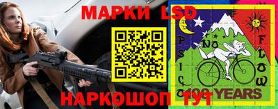 стаф Гатчина