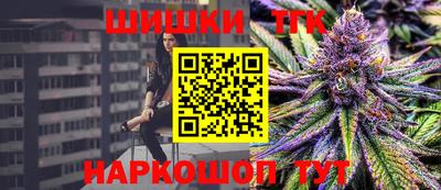 стаф Гатчина