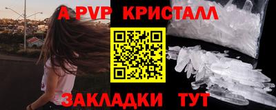 стаф Гатчина