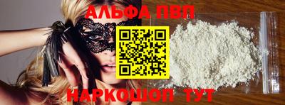 стаф Гатчина