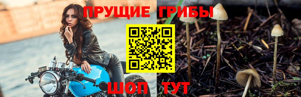 Псилоцибиновые грибы Psilocybe  Галлюциногенные грибы Cubensis  Казань  Вход с VPN 